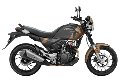 Hero Xpulse 200t MARRÓN (Referencia)